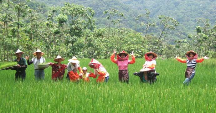 抗旱保水專(zhuān)用