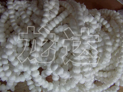 �w�S�����a(ch��n)